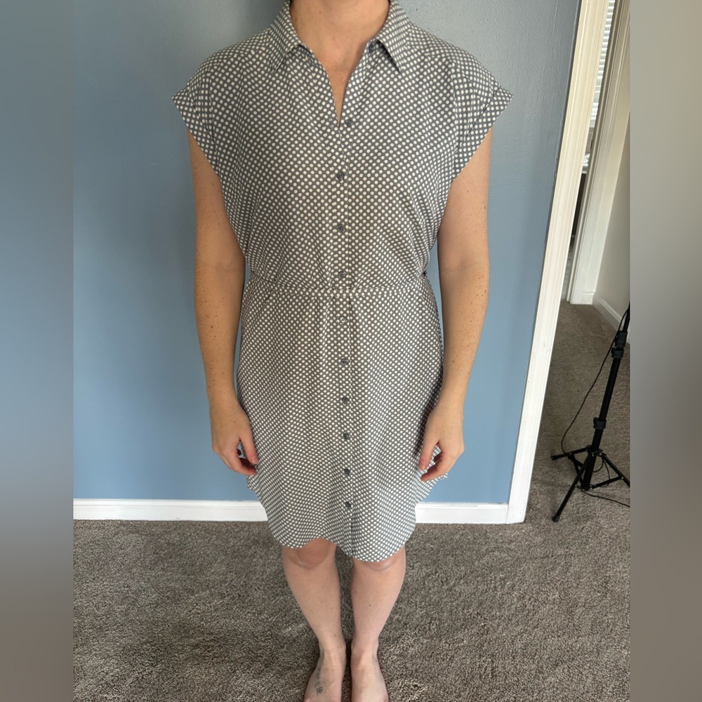 Small gray polka dot express dress
